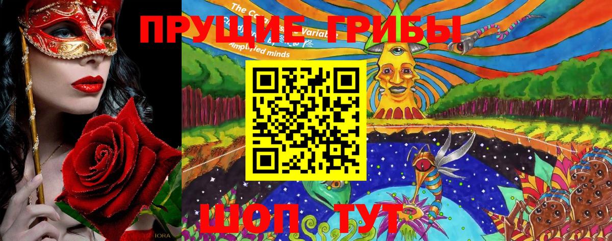 Бийск  Псилоцибиновые грибы GOLDEN TEACHER  Вход с VPN 