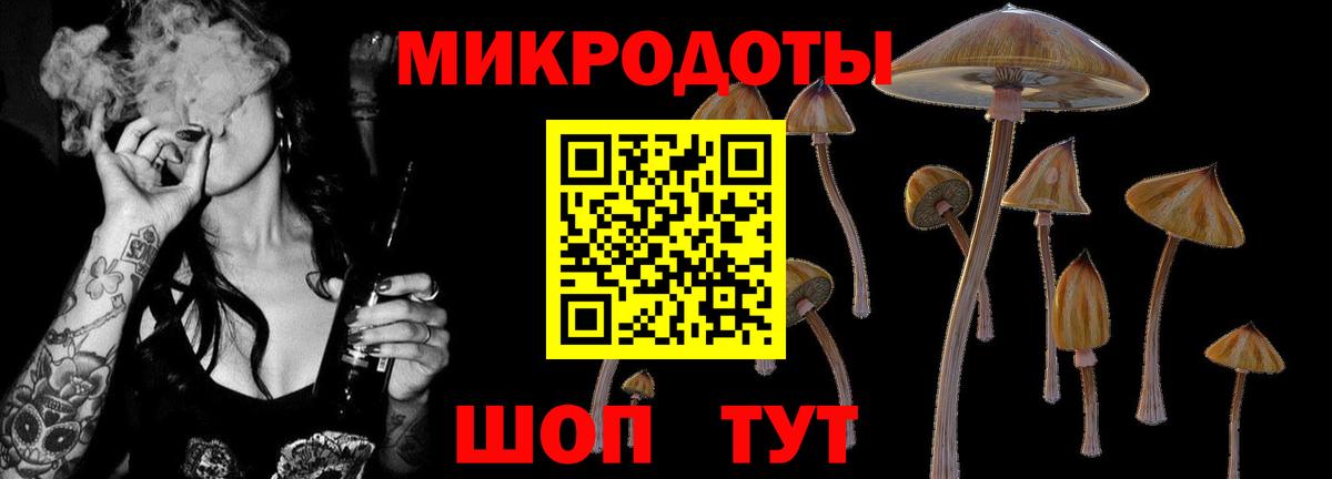 Галлюциногенные грибы Magic Shrooms Бийск